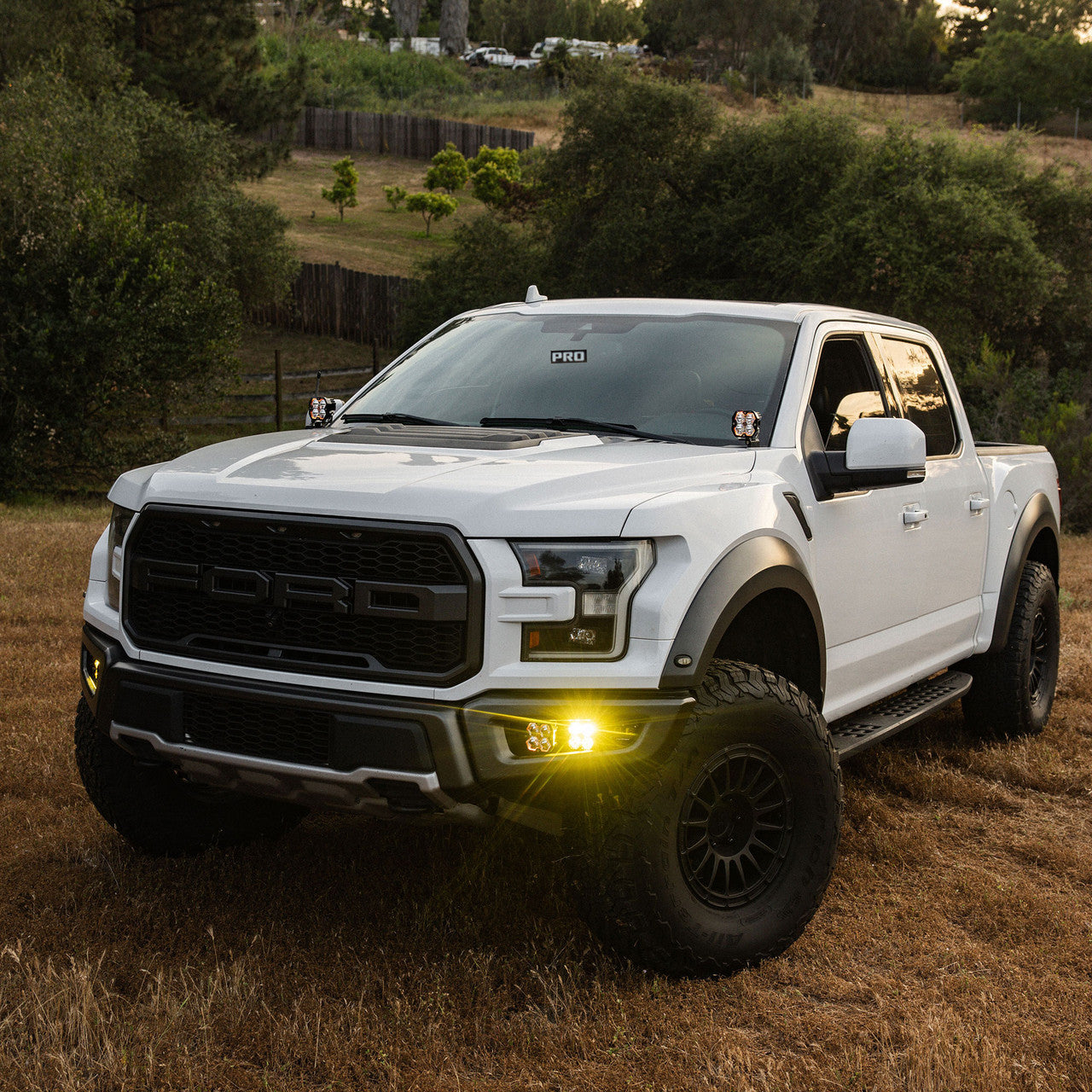 Ford Squadron 2.0 Sport / S2 Sport Fog Pocket Light Kit Ford 2017-2020 Raptor